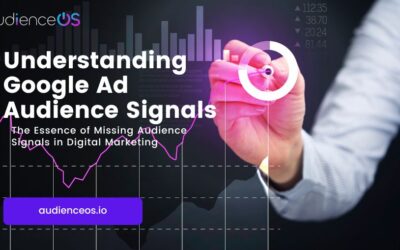 Understanding Google Ad Audience Signals