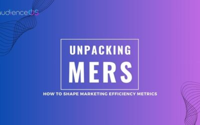 Unpacking MERS: How to Shape Marketing Efficiency Metrics