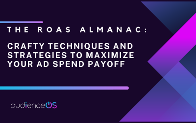 The ROAS Almanac: Crafty Techniques and Strategies to Maximize Your Ad Spend Payoff