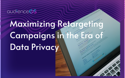 Maximizing Retargeting Campaigns in the Era of Data Privacy: The Power of First-Party Data
