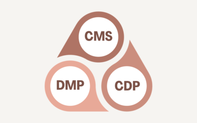 CRM vs. DMP vs CDP: Differences & Similarities